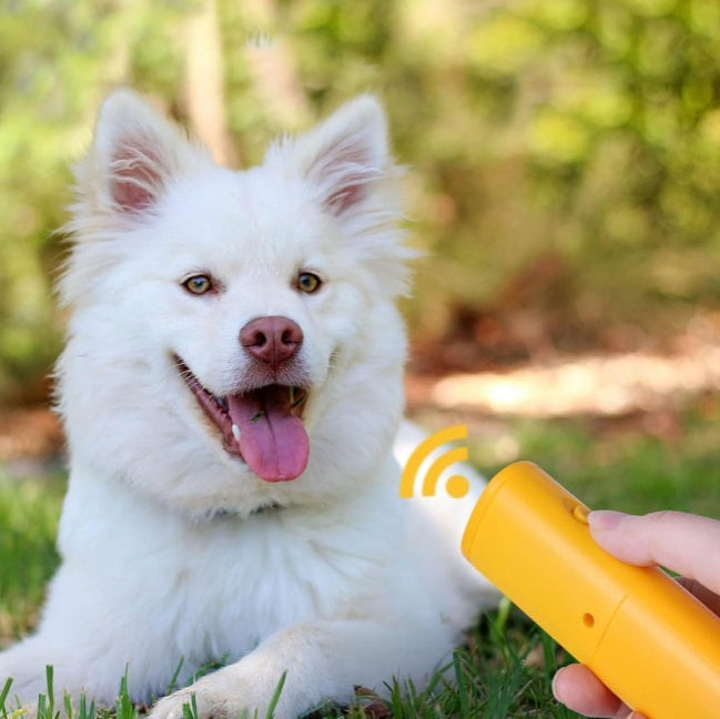 LED Dog Repeller Trainer - 5 - CJ