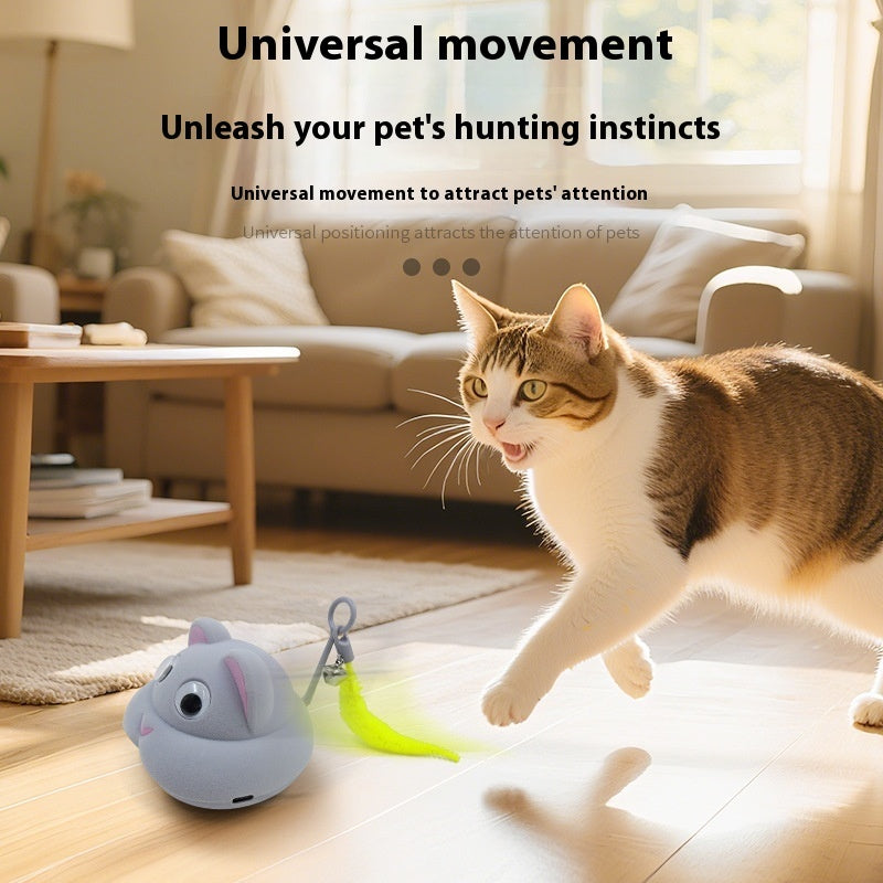 Pet Toy Cat Dog Self - Hi Light Sound Toy - 0 - CJ