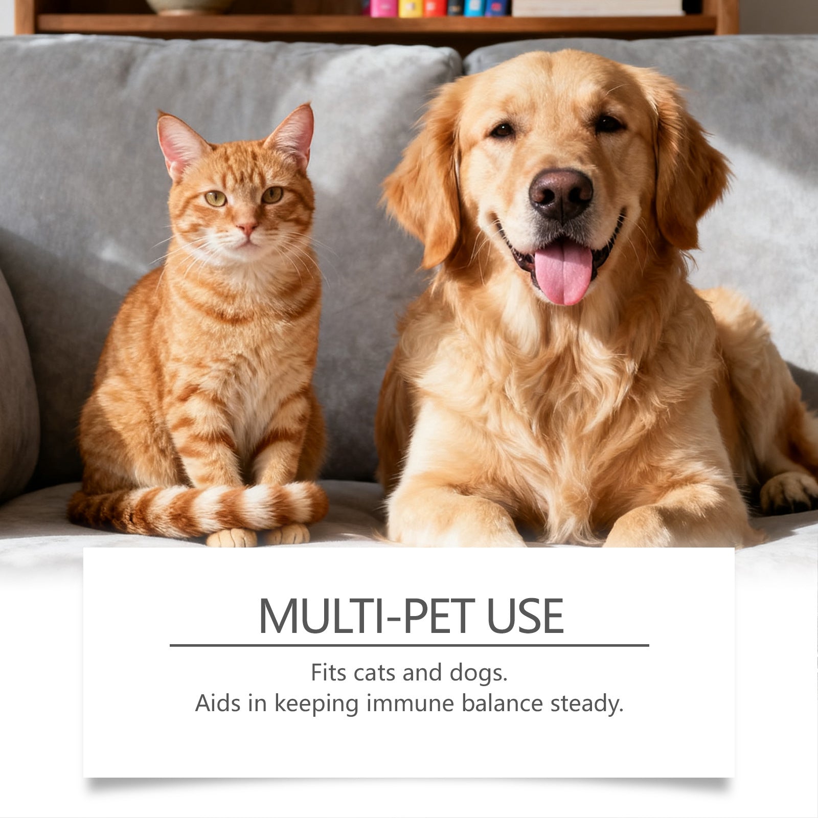 Cat And Dog Urinary Care Soothing Drops - 0 - CJ