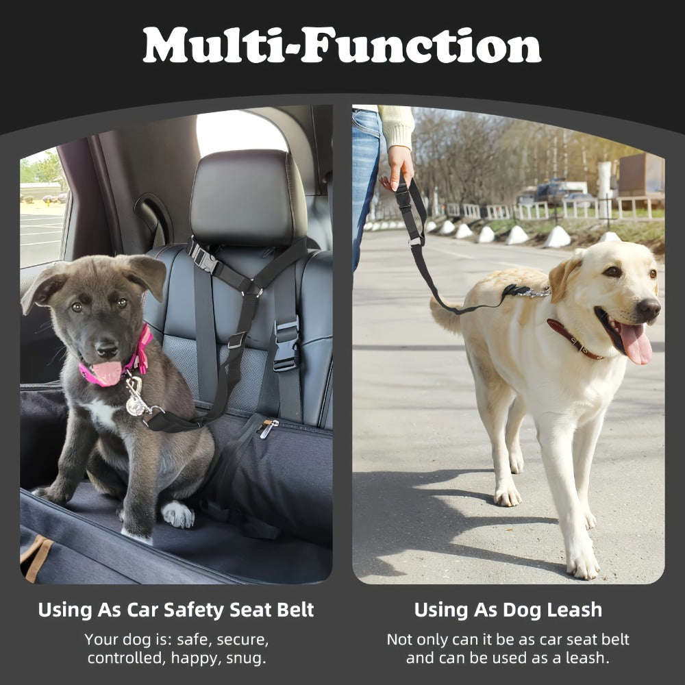 The Two - Piece Dog Leash Set Is Made Of Wear - Resistant And Skin - Friendly Materials. With Excellent Quality, It Meets Various Travel Needs Of Dogs. - 5 - CJ