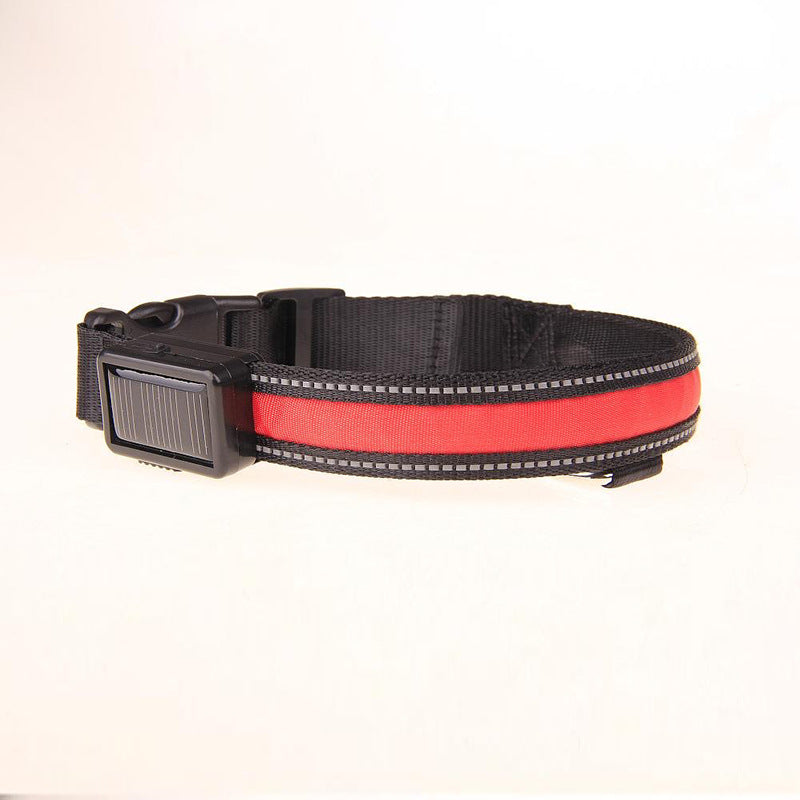 Solar LED Luminous Pet Dog Fashion Collar - 0 - CJ