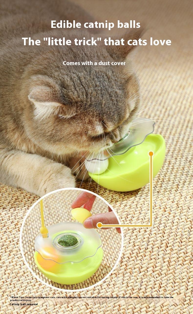 Cat Tumbler Toy Ball - 5 - CJ