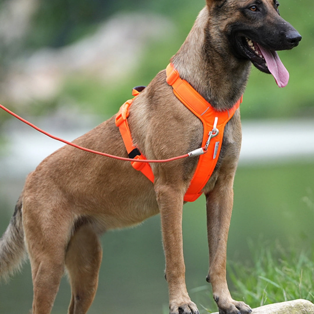 Multi - functional Minimalist Outdoor Dog Harness - 0 - CJ