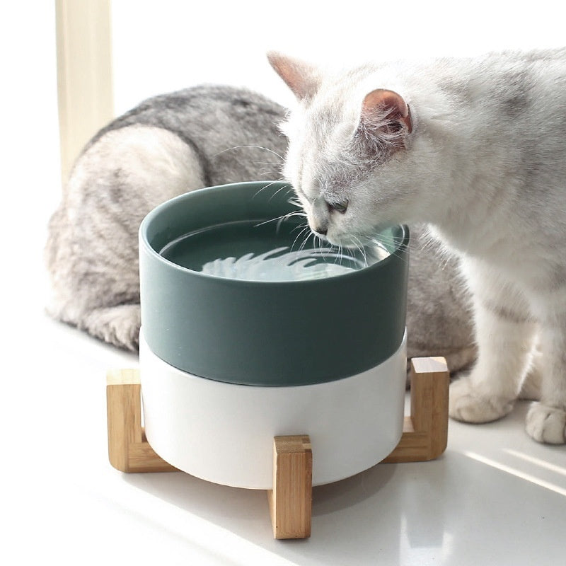 Solid Color Minimalist Home Use Ceramic Cat Food Feed Bowl - 0 - CJ