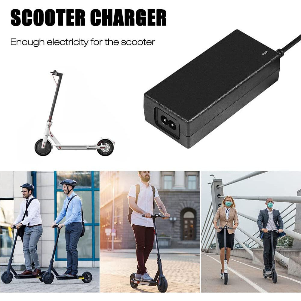 42V2A Charger - 5 - CJ