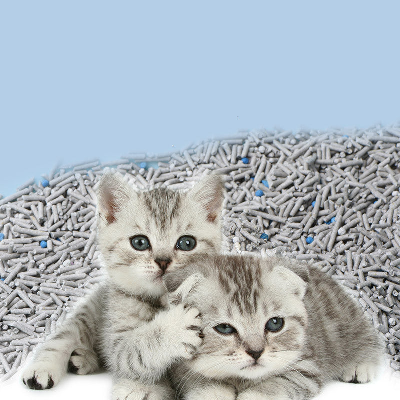 6L Activated Charcoal Mixed With Cat Litter And Tofu Residue To Deodorize - 0 - CJ