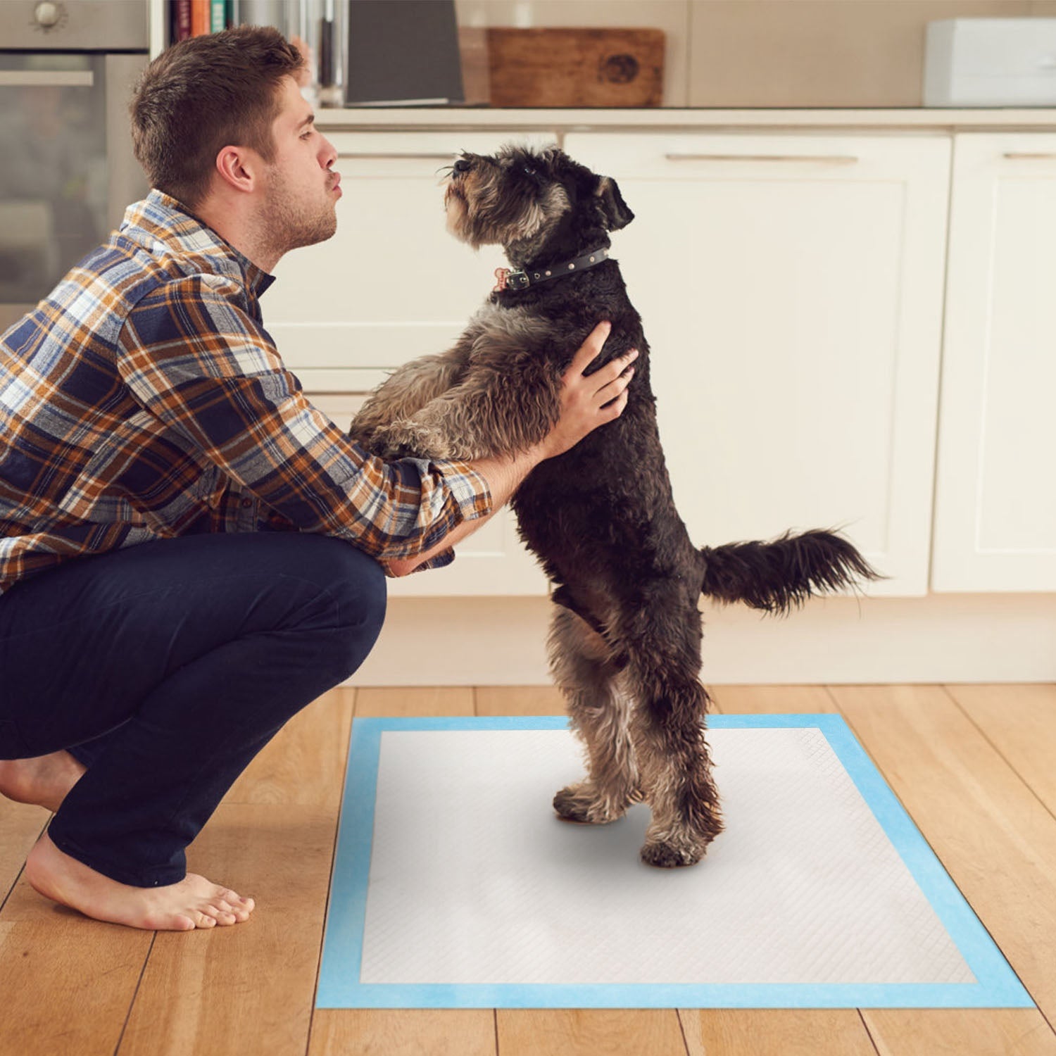 50Pcs Per Set Dog Training Pads Puppy Pee Pads Cat Wee Mats Potty - Train 24in X 18in M - 5 - CJ