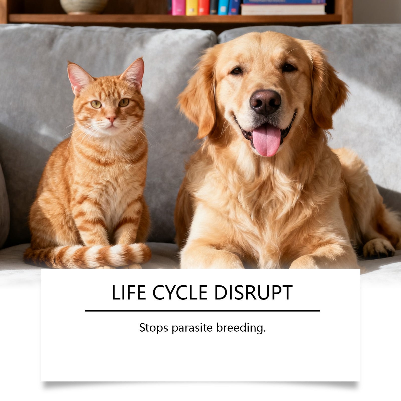 Flea And Tick Prevention Support Drops For Dogs And Cats - 0 - CJ