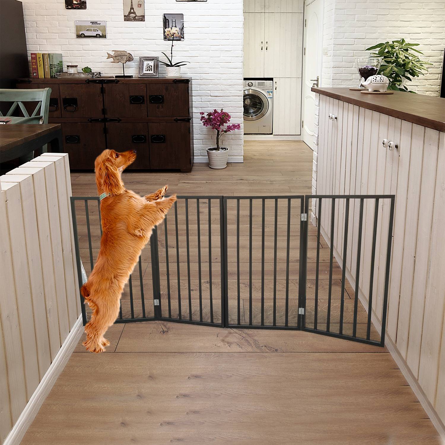 Pet Gate - Dog Gate For Doorways,Stairs Or House - standing, Folding - 5 - CJ