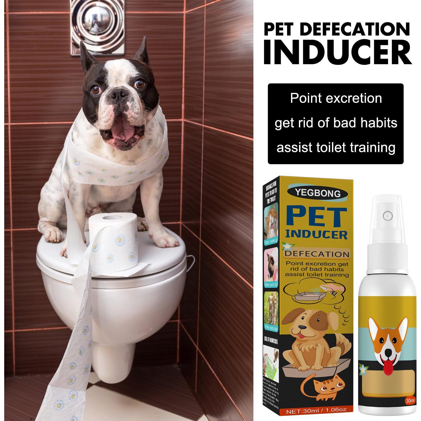 Yegebang Pet Defecation Positioning Spray Pet Feces Positioning Pet Cat And Dog Defecation Inducer - 5 - CJ
