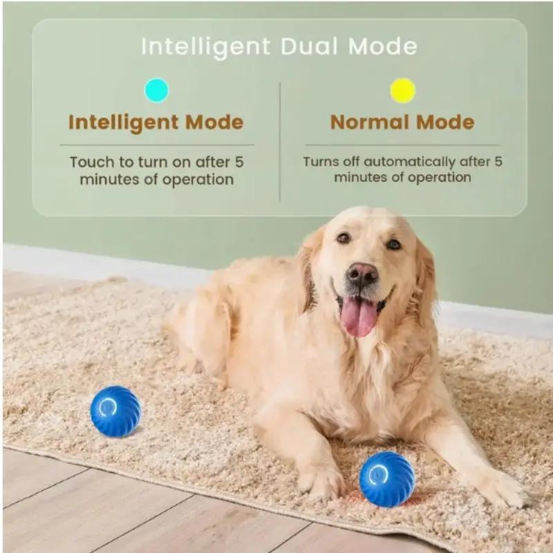 Blue And Orange Pet Bouncing Ball Fun Pet Bouncing Ball For Cats And Dogs,Self - pickup Only - 5 - CJ
