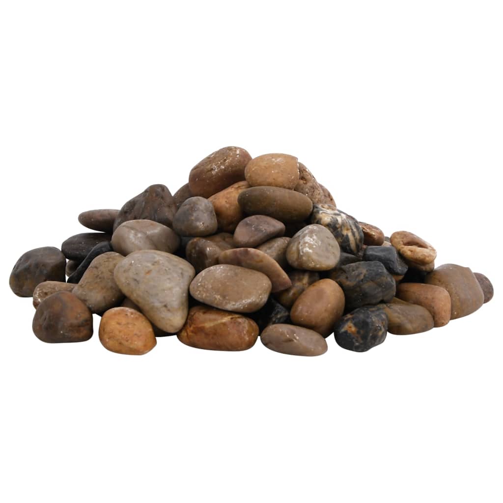 Polished Pebbles Multicolored 2 - 5 cm Polished - 5 - CJ