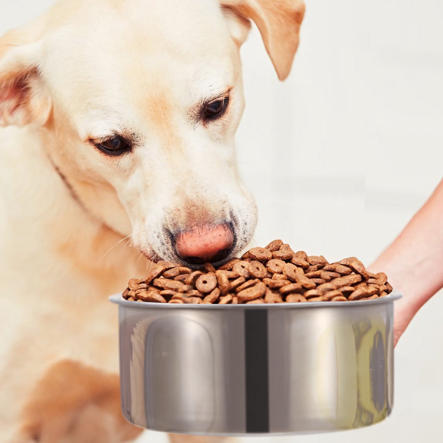 1Pc M Size Stainless Steel Dog Bowl Pets Hanging Food Bowl Detachable Pet Cage Food Water Bowl With Clamp Holder - 5 - CJ