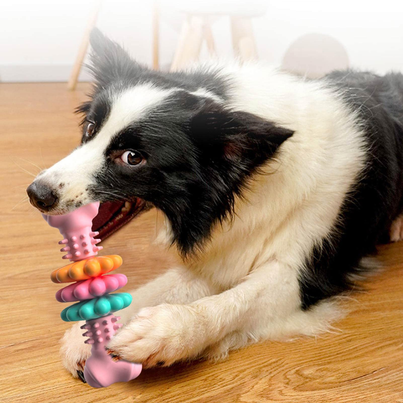 Dog Chew Toy Dog Bone Type Dogs Teeth Cleaning Toys Indestructible TPR Bone Chewing Bite Resistant Teething Toys Pet Products - 0 - CJ