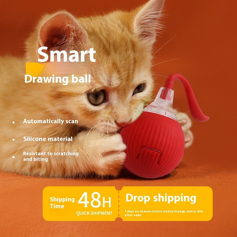 Interactive Cat Toy Ball Super Drive Cat Rolling Ball - 0 - CJ