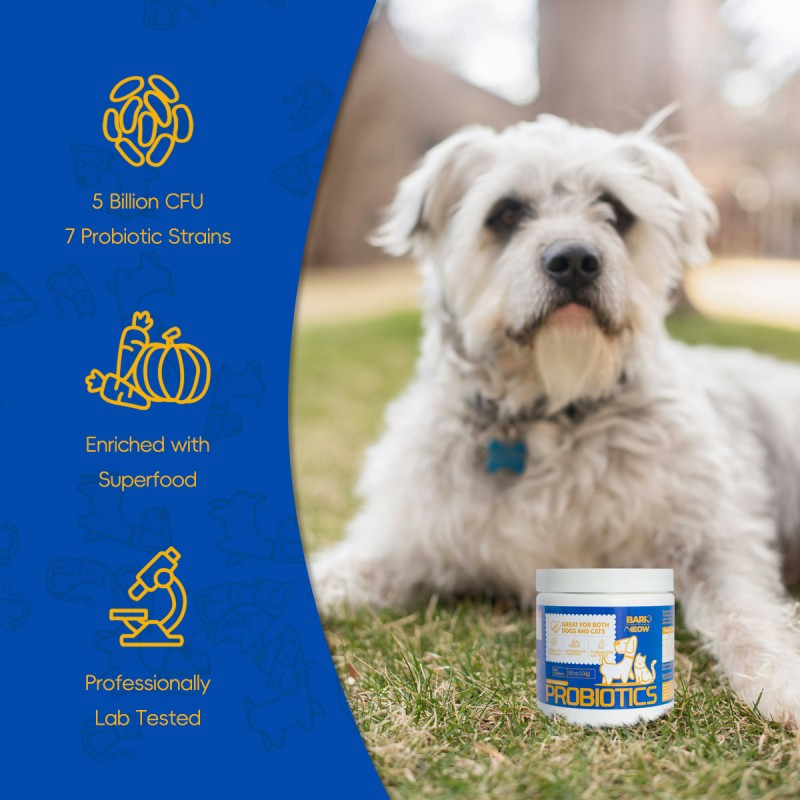 Bark And Meow Probiotics For Dogs & Cats 7 Tailored Strains Prebiotics, Pumpkin & Carrot 5 Billion CFU Scoop Human - Grade, Non - GMO, Vet - Approved, Made In USA, Gut & Immune Support - 5 - CJ