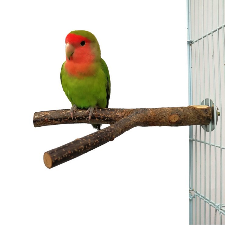 Bird Standing Frame Rattan Ring Chewing Toy Bird Cage - 0 - CJ - Diameter 1.52.520cm - CJNY125213706FU