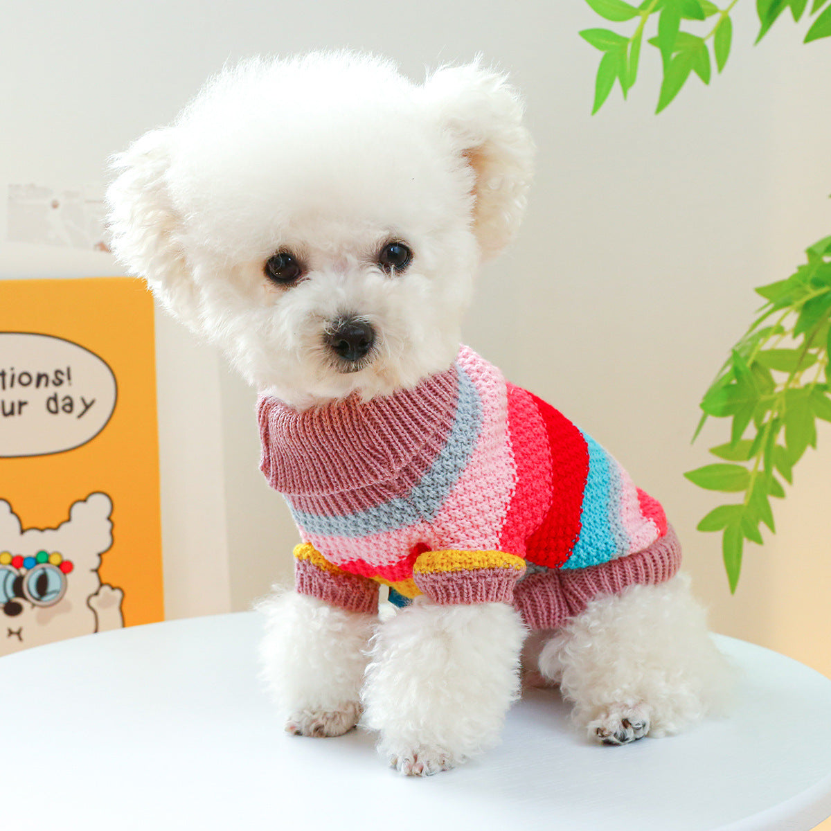 Pet Ring Comfortable Color Stripes Colorful Sweater - 0 - CJ