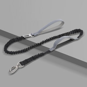 Dog Leash Anti - Burst Reflective Outdoor - 0 - CJ