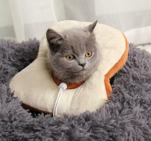 Adjustable Pet Neck Cone Recovery Pet Cat Recovery Collar Cat Soft Lemon Neck Cone Adjustable Pet E Collar After Surgery, Wound Healing Protective Cat Elizabethan Collar For Kitten & Puppy - 5 - CJ