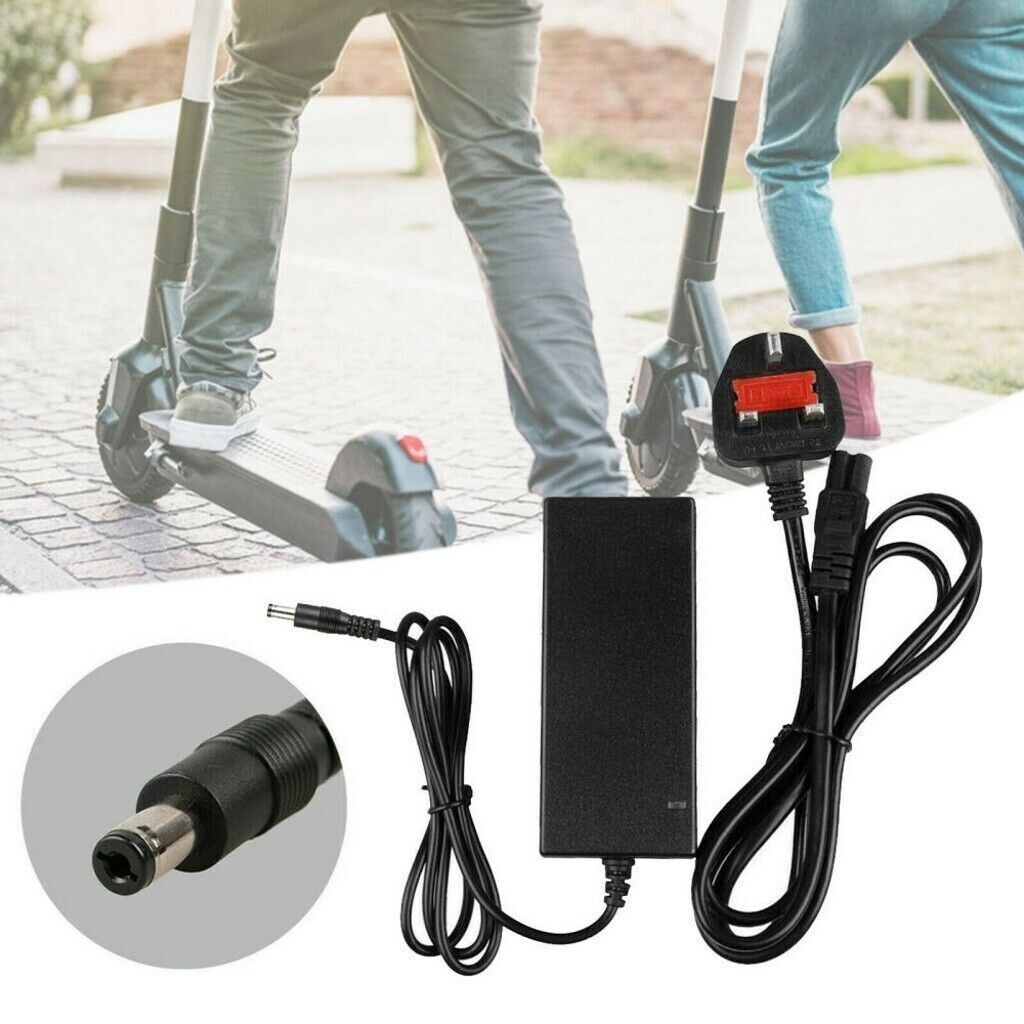 42V2A Charger - 5 - CJ