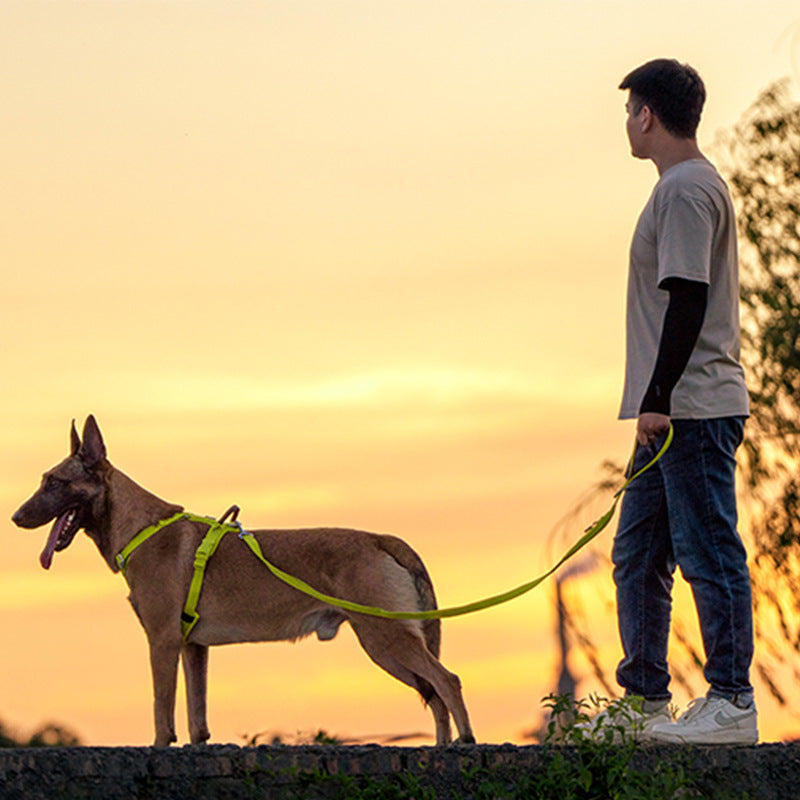 Medium And Large Breed Dogs Hand - held Dog Leash And Harness - 0 - CJ