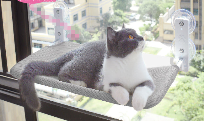 Cat Suction Cup Window Glass Hammock Pet Cat Pets Products - 0 - CJ - Grey - 30x52CM - Mesh - CJMY166360908HS