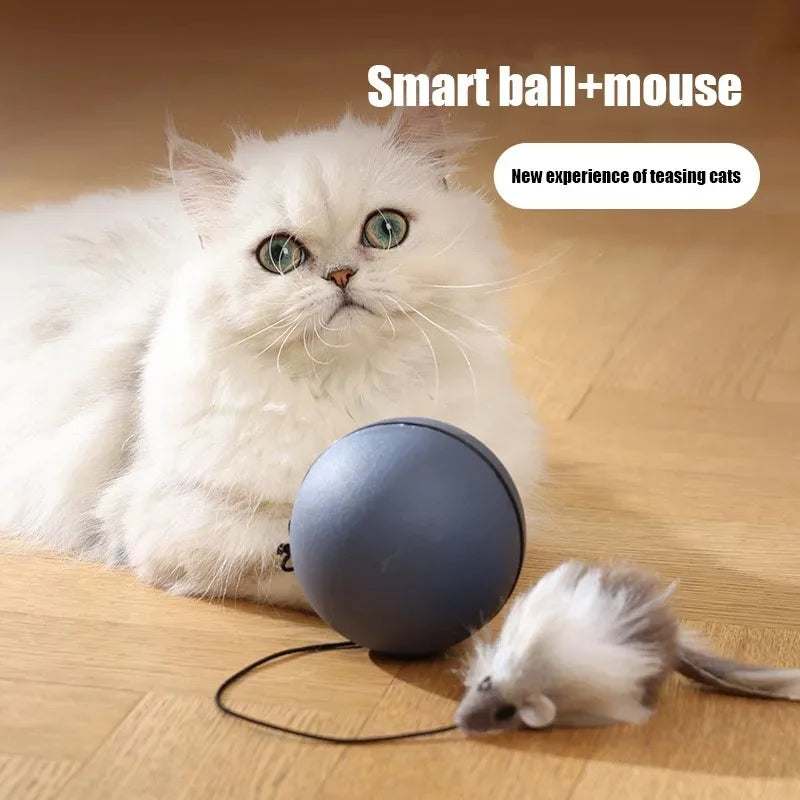 Cat Toys Mouse Teaser Ball Funny Moving Toy For Pets Cat Dog Electric - 0 - CJ