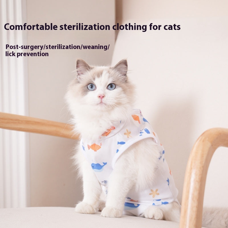 Cat Sterilization Clothing Post - operation Printing Series Four Seasons - 0 - CJ