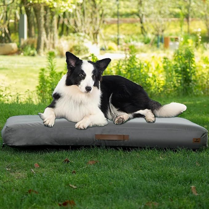 Medium Dog Outdoor Removable And Washable Inflatable Waterproof And Non - slip Dog Bed Summer Pet Travel Mat - 5 - CJ