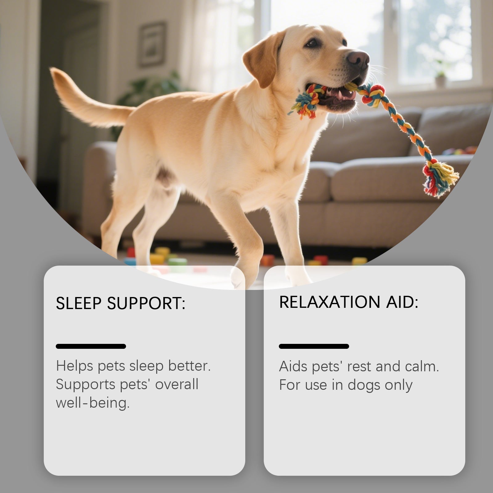 Dog Advanced Melatonin Drops - 0 - CJ