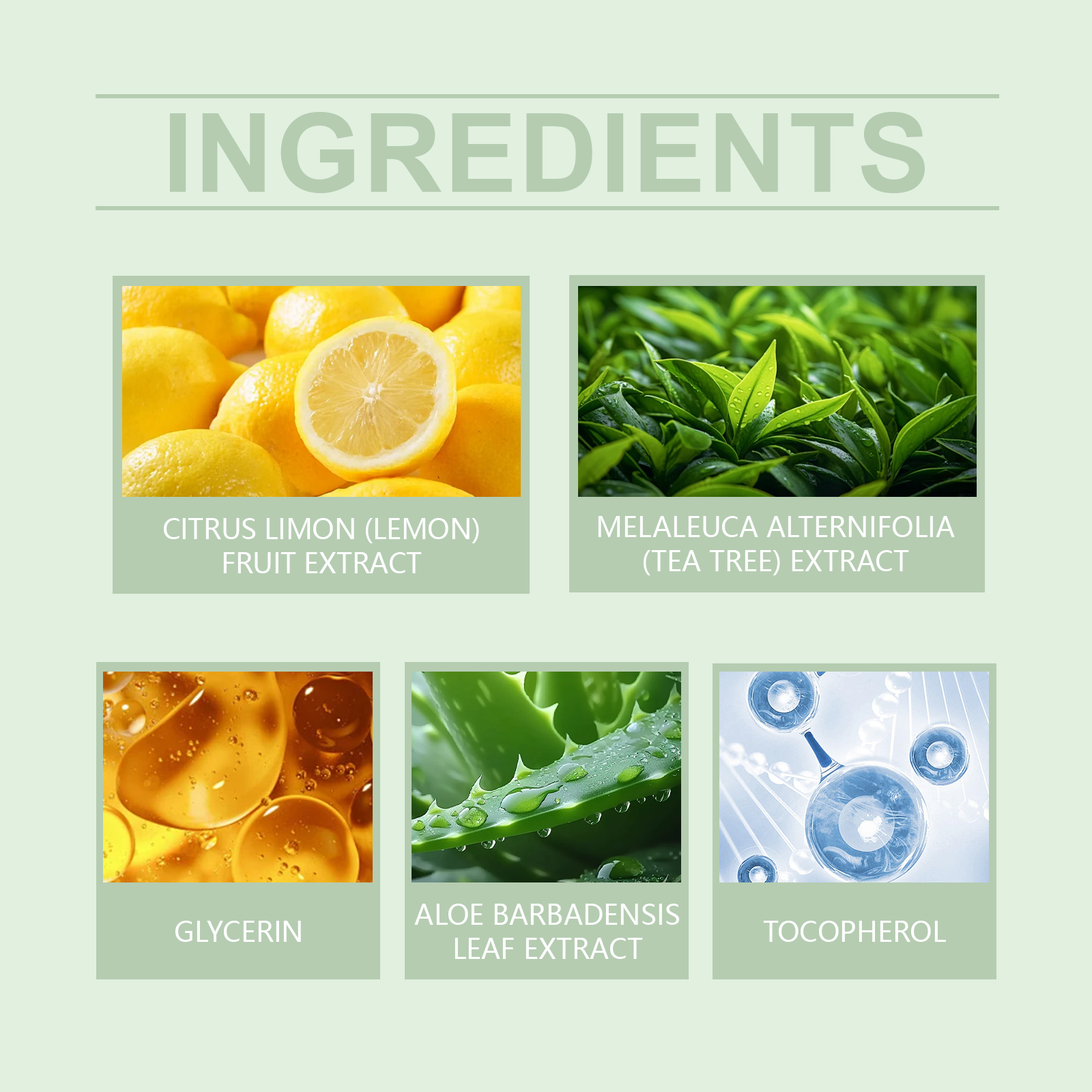 West&Month Purifying Exfoliating Gel, Improves Dull Dryness Deeply Cleans Pores Brightening Skin Firming - 5 - CJ