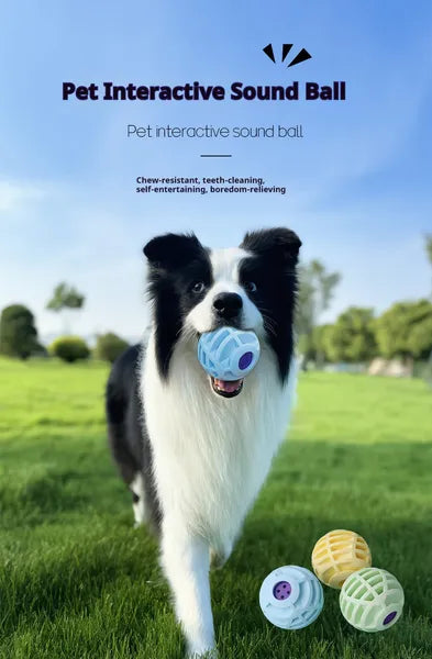 Pet Interactive Sound Ball,The Mellow Dog Cat Pet Voice Ball,Interactive Pet Squeaky Toys - 5 - CJ