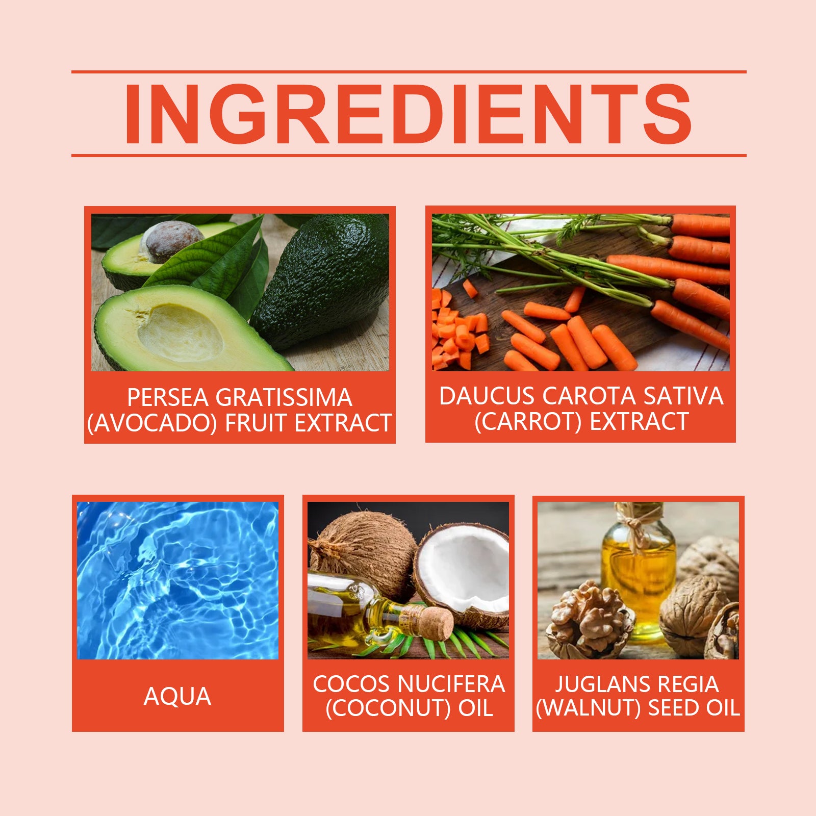 Eelhoe Carrot Black Gel Equalizes Skin Tone And Creates A Healthy Cream For Wheat Skin - 5 - CJ