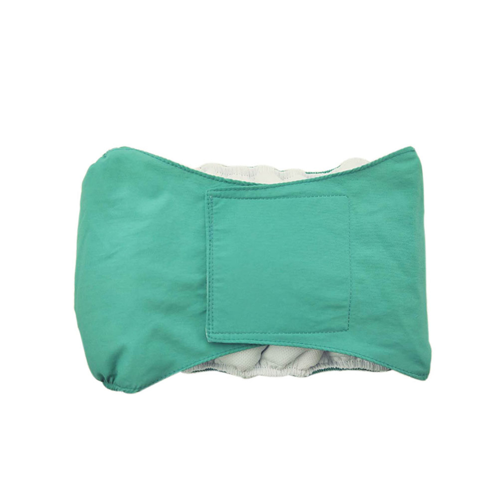 Male Dog Special Waterproof Belt Absorbent Diaper - 0 - CJ - Blue - XL - CJGY172095510JQ