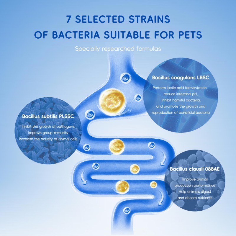 Bark And Meow Probiotics For Dogs & Cats 7 Tailored Strains Prebiotics, Pumpkin & Carrot 5 Billion CFU Scoop Human - Grade, Non - GMO, Vet - Approved, Made In USA, Gut & Immune Support - 5 - CJ