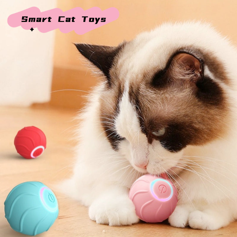 Pet Toys - Interactive