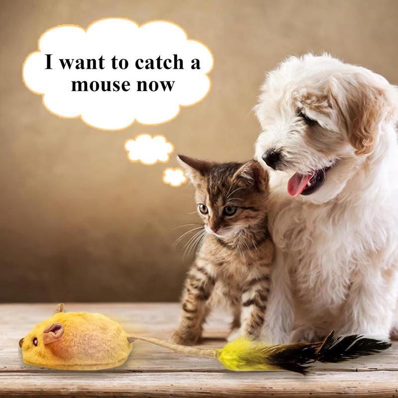 Accessories for Dogs and Cats