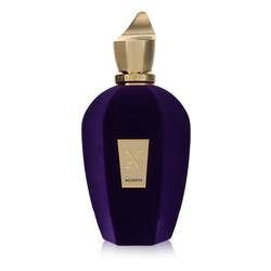 ESTOQUE FRAGRANCEX collection at Prime Titan