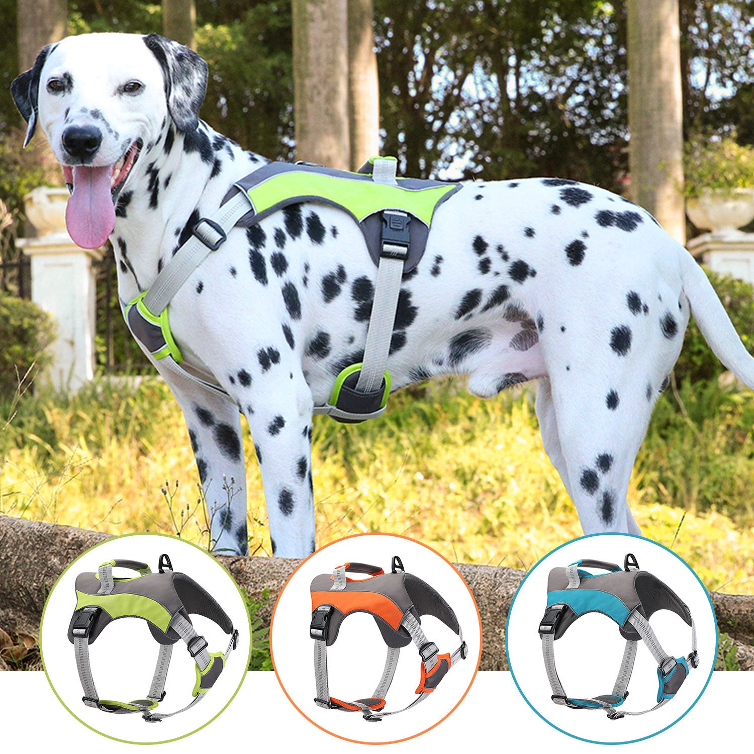 Breathable Large Dog Chest Harness With Leash - 0 - CJ