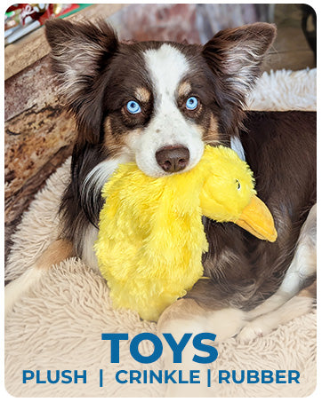 Best Pet Supplies Dog Toys For Small Medium And Large Breeds Cute No - Stuffed And Stuffed Duck With Soft Squeaky Fun For Indoor Puppies And Premium Puppies Plush No Mess Chewing And Playing - 4 - CJ
