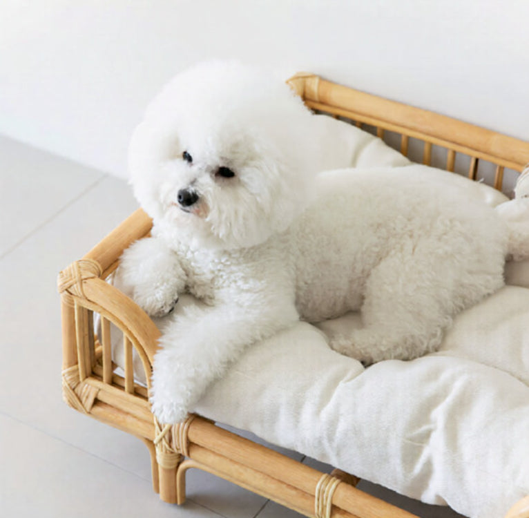 Natural Rattan Square Dog Bed Minimalist Handmade Pet Bed - 0 - CJ