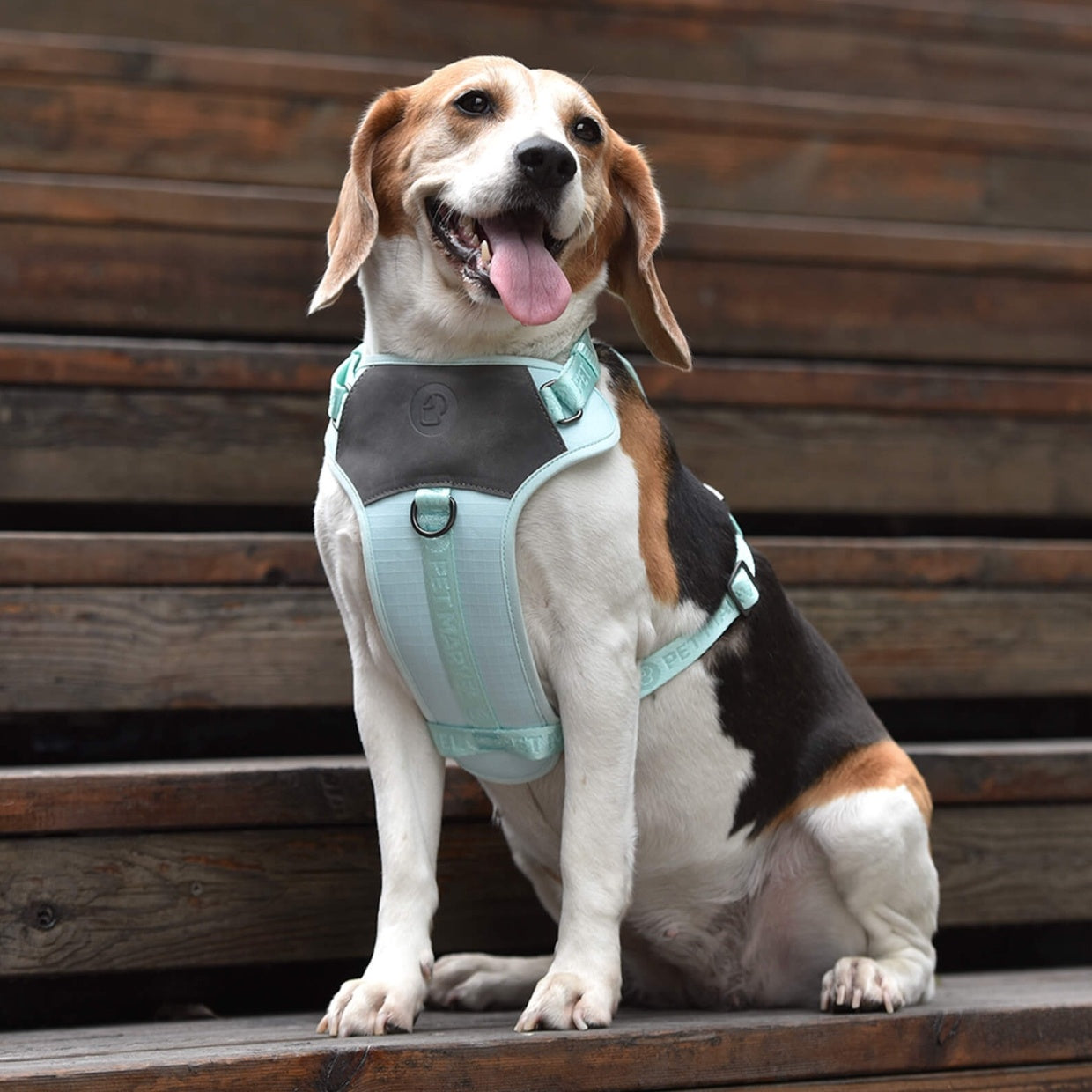 PETMARVEL Adjustable Embroidered Stylish Dog Harness