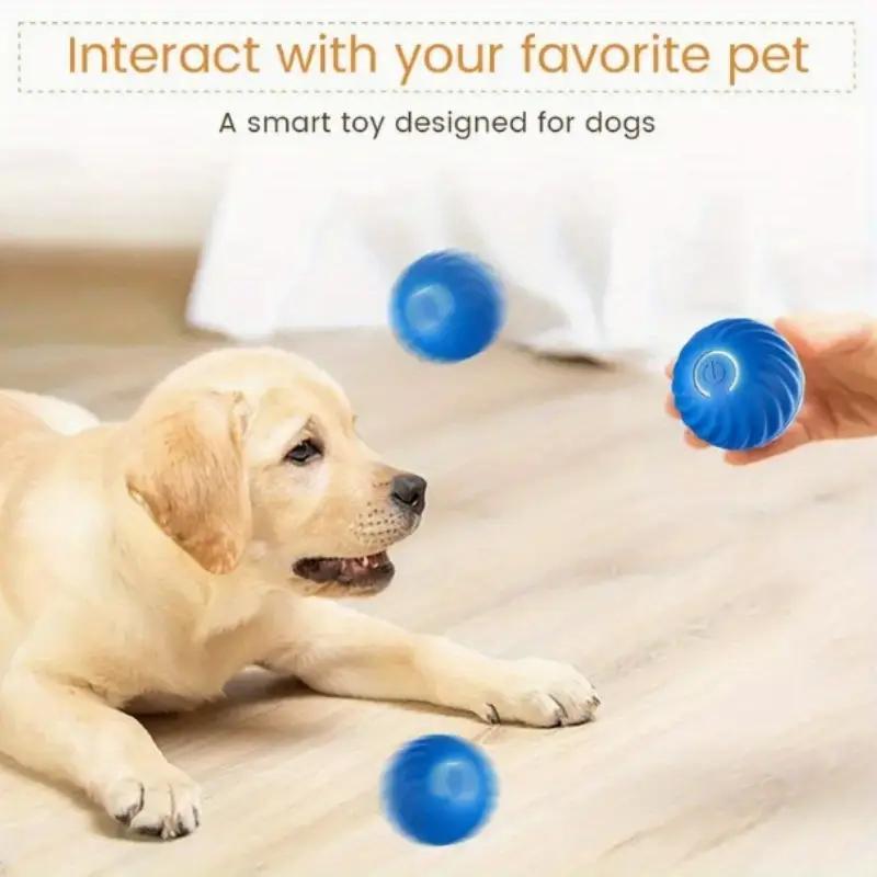 Blue And Orange Pet Bouncing Ball Fun Pet Bouncing Ball For Cats And Dogs,Self - pickup Only - 5 - CJ