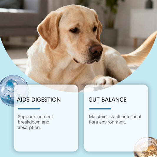 Dog Intestinal Health Soft Granules - 0 - CJ