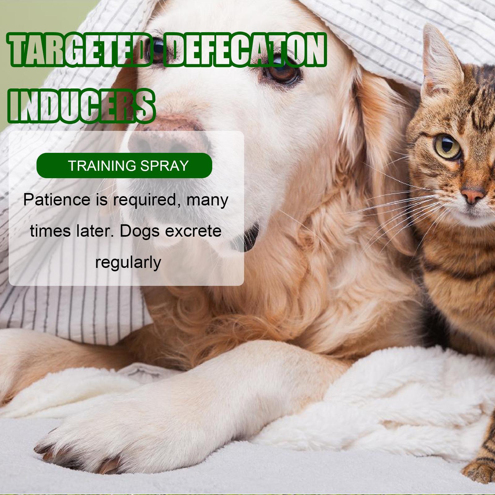 Yibang Pet Positioning Defecation Inducer Pet Toilet Inducer Urine Locator Toilet Training Agent - 5 - CJ