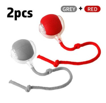 Interactive Cat Toy Ball Super Drive Cat Rolling Ball - 0 - CJ