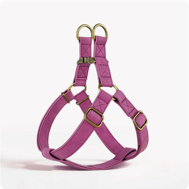 Dog Vest - style Pet Harness For Small And Medium - sized Dogs - 0 - CJ