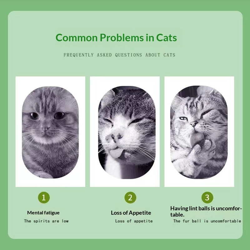 Catnip Cat Grass Cat Snacks Help With Hairball Removal And Oral Cleaning - 0 - CJ