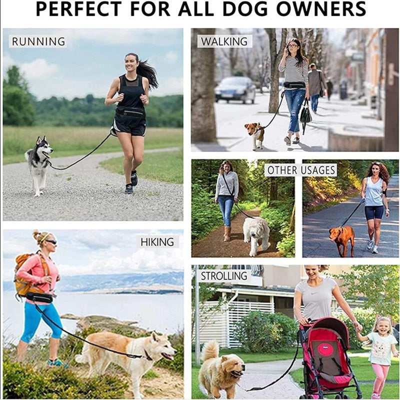 Hands Free Dog Leash Pet Walking And Training Belt With Shock Absorbing Bungee Leash For Up To 180lbs Large Dogs Phone Pocket And Water Bottle Holder - 4 - CJ